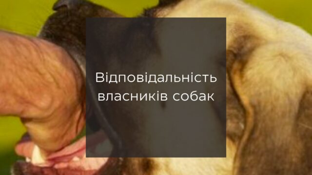 Відповідальність власників собак